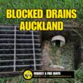 Blocked Drain Auckland
