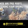 What Is a CCTV Drain Inspection and Do You Need One?