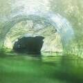 Drain Camera Inspection Auckland | Things We Find