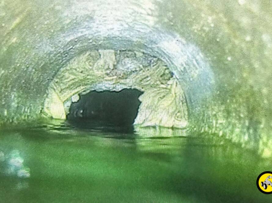 Drain camera inspection in Auckland by CCTV Drain Inspections